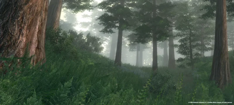 The Elder Scrolls IV: Oblivion® Game of the Year Edition (2009)中文版下载-驿游游戏网