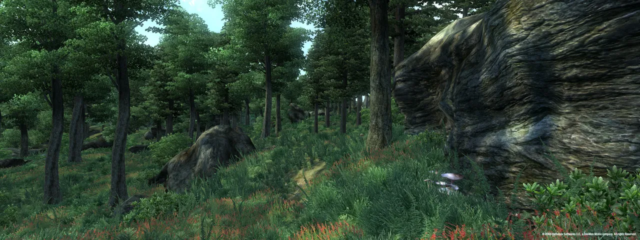 The Elder Scrolls IV: Oblivion® Game of the Year Edition (2009)中文版下载